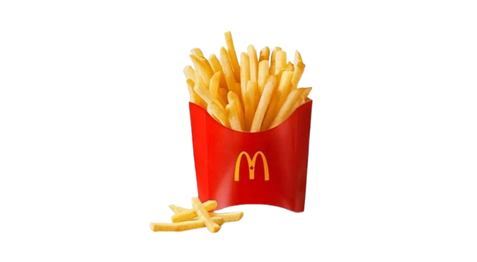 World Famous Fries – Small